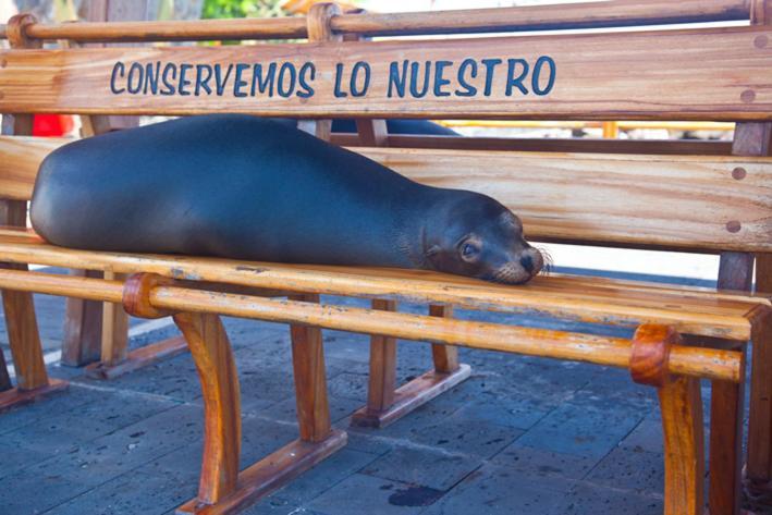 Casa Playa Los Marinos Puerto Baquerizo Moreno Zewnętrze zdjęcie